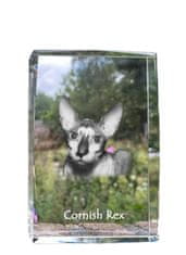 Artdog Cornish Rex - kristal s fotografijo mačke, fotografija v steklu, sodobna fotografska razstava Art-Dog