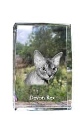 Artdog Devon Rex - kristal s fotografijo mačke, fotografija v steklu, sodobna fotografska razstava Art-Dog