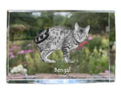 Artdog Bengal - kristal s fotografijo mačke, fotografija v steklu, sodobna fotografska razstava Art-Dog
