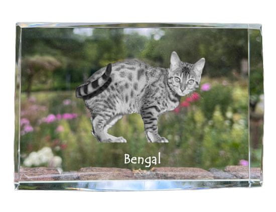 Artdog Bengal - kristal s fotografijo mačke, fotografija v steklu, sodobna fotografska razstava Art-Dog
