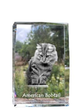 Artdog Ameriški bobtail - kristal s fotografijo mačke, fotografija v steklu, sodobna fotografska razstava Art-Dog