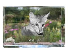Artdog Savannah - kristal s fotografijo mačke, fotografija v steklu, sodobna fotografska razstava Art-Dog