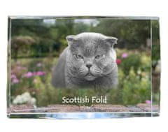 Artdog Scottish fold - kristal s fotografijo mačke, fotografija v steklu, sodobna fotografska razstava Art-Dog