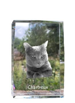 Artdog Chartreux - kristal s fotografijo mačke, fotografija v steklu, sodobna fotografska razstava Art-Dog