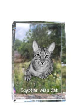 Artdog Egyptian Mau cat - kristal s fotografijo mačke, fotografija v steklu, sodobna fotografska razstava Art-Dog