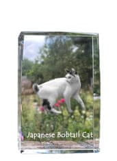 Artdog Japonski bobtail - kristal s fotografijo mačke, fotografija v steklu, sodobna fotografska razstava Art-Dog