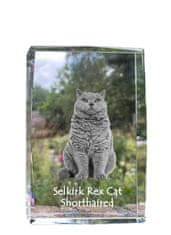 Artdog Selkirk Rex kratkodlaka mačka - kristal s fotografijo mačke, fotografija v steklu, sodobna fotografska razstava Art-Dog