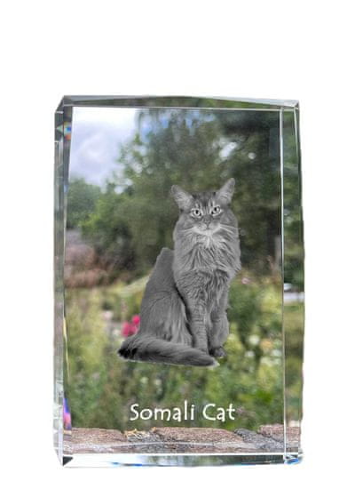 Artdog Somali - kristal s fotografijo mačke, fotografija v steklu, sodobna fotografska razstava Art-Dog