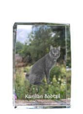 Artdog Kurilski bobtail - kristal s fotografijo mačke, fotografija v steklu, sodobna fotografska razstava Art-Dog