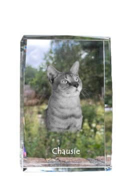Artdog Chausie - kristal s fotografijo mačke, fotografija v steklu, razstava modernih fotografij Art-Dog