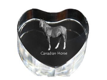 Artdog Kanadski konj - fotografija konja v kristalu, kristalno srce, unikaten foto okvir Art-Dog