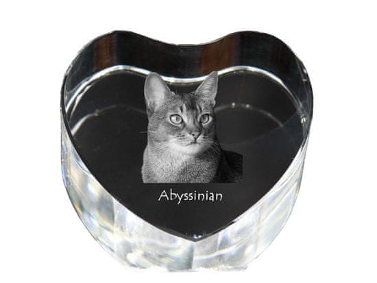 Artdog Abyssinian - fotografija mačke v kristalu, kristalno srce, unikaten okvir za fotografije Art-Dog