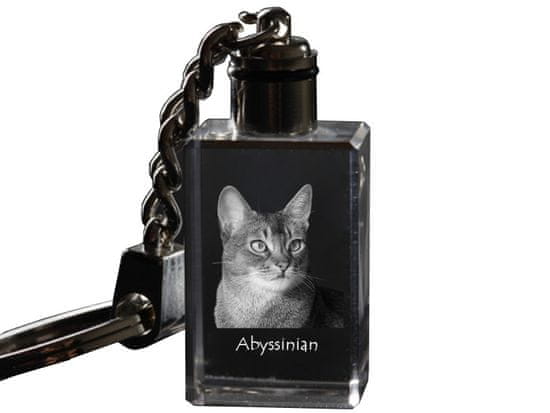 Artdog Abyssinian - kristalni obesek za ključe s fotografijo mačke, osvetljen obesek za ključe, unikatno darilo Art-Doga