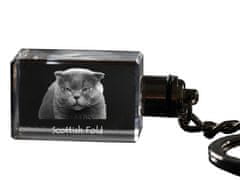 Artdog Scottish fold - kristalni obesek za ključe s sliko mačke, osvetljen obesek za ključe, unikatno darilo Art-Dog