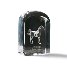Artdog American Paint Horse - kristalna kocka s fotografijo, fotografija konja v kristalu, kubični obtežilnik za papir Art-Dog