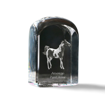 Artdog American Paint Horse - kristalna kocka s fotografijo, fotografija konja v kristalu, kubični obtežilnik za papir Art-Dog