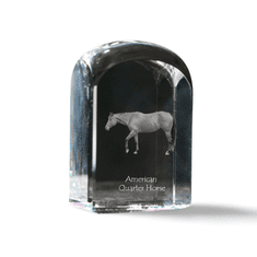 Artdog American Quarter Horse - kristalna kocka s fotografijo, fotografija konja v kristalu, kubični obtežilnik za papir Art-Dog