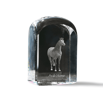 Artdog Arabski konj - kristalna kocka s fotografijo, fotografija konja v kristalu, kubični obtežilnik za papir Art-Dog