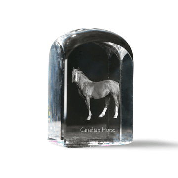 Artdog Kanadski konj - kristalna kocka s fotografijo, fotografija konja v kristalu, kubični obtežilnik za papir Art-Dog