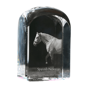 Artdog Španski Norman - kristalna kocka s fotografijo, fotografija konja v kristalu, kubični obtežilnik za papir Art-Dog