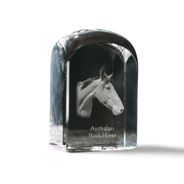 Artdog Avstralski plemenski konj - kristalna kocka s fotografijo, fotografija konja v kristalu, kubični obtežilnik za papir Art-Dog