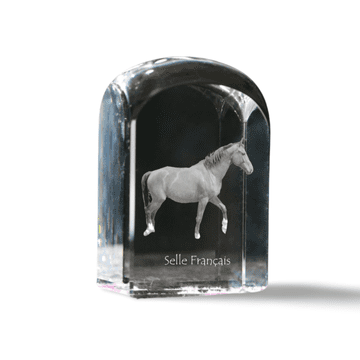 Artdog Selle Francais - kristalna kocka s fotografijo, fotografija konja v kristalu, kubični obtežilnik za papir Art-Dog