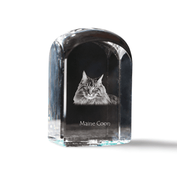 Artdog Maine Coon - kristalna kocka s fotografijo, fotografija mačke v kristalu, kubični obtežilnik za papir Art-Dog