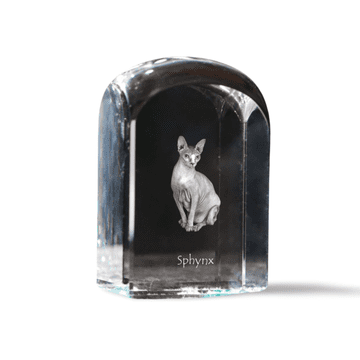 Artdog Sfinga - kristalna kocka s fotografijo, fotografija mačke v kristalu, kubični obtežilnik za papir Art-Dog