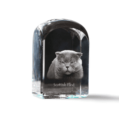 Artdog Scottish fold - kristalna kocka s fotografijo, fotografija mačke v kristalu, kubični obtežilnik za papir Art-Dog