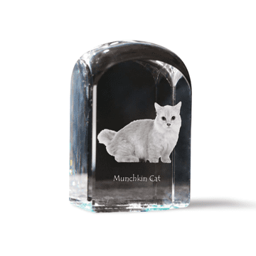 Artdog Mačka Munchkin - kristalna kocka s fotografijo, fotografija mačke v kristalu, kubični obtežilnik za papir Art-Dog
