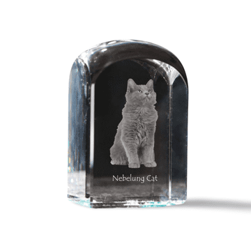Artdog Nebelung - kristalna kocka s fotografijo, fotografija mačke v kristalu, kubični obtežilnik za papir Art-Dog