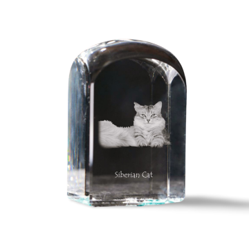 Artdog Sibirska - kristalna kocka s fotografijo, fotografija mačke v kristalu, kubični obtežilnik za papir Art-Dog