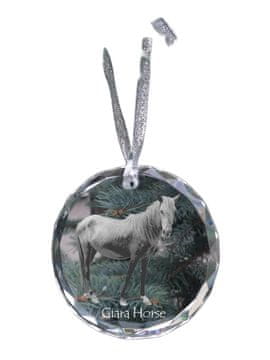 Artdog Konj Giara - kristalna kroglica s fotografijo, fotografije konja v kristalu, personaliziran obesek za božično drevo Art-Dog