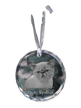 Artdog Eksotična kratkodlaka - kristalna kroglica s fotografijo, fotografije mačk v kristalu, personaliziran obesek za božično drevesce Art-Dog