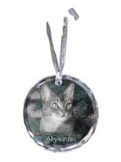 Artdog Abyssinian - kristalna kroglica s fotografijo, fotografije mačke v kristalu, personaliziran obesek za božično drevo Art-Dog