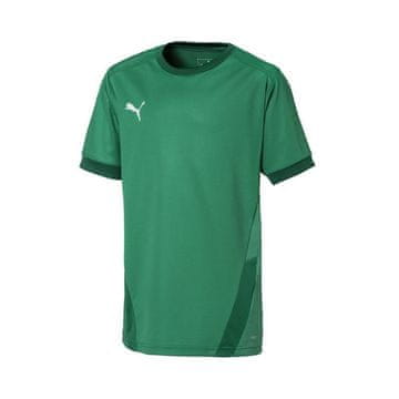 Puma Majice obutev za trening zelena Teamgoal 23 Jersey
