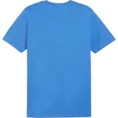 Puma Majice modra M Team Goal