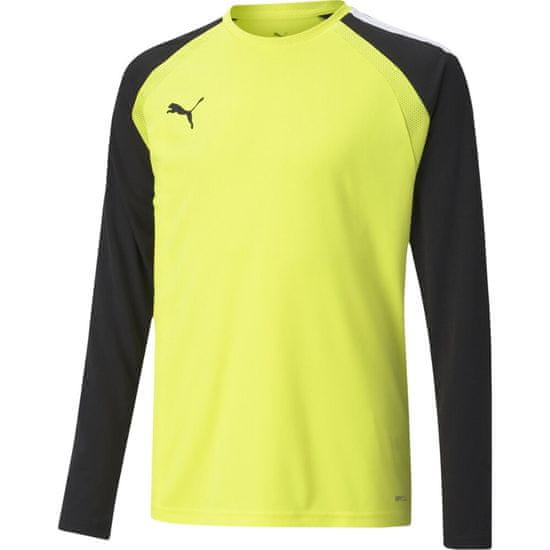 Puma Športni pulover Teampacer Gk