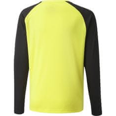 Puma Športni pulover 152 - 164 cm/L Teampacer Gk