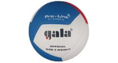 Gala Gala BV5595S Pro-Line odbojka št. 5