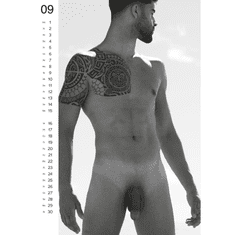 Orion Koledar Pin-up koledar HC Real Cocks 2026