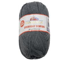 Himalaya EVERYDAY SENFONi - 100g / 196 m