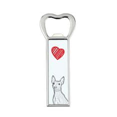 Artdog Ameriški goli terier - odpirač za steklenice s psom, personaliziran odpirač za hladilnik, unikatno darilo Art-Dog za moškega