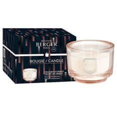 Maison Berger Paris Dišeča sveča Variation nude Velvet of Orient 140 g