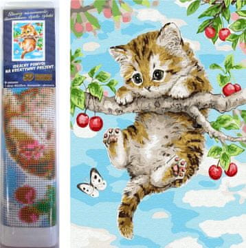 Norimpex Diamantna slika Maček na češnji 30x40cm