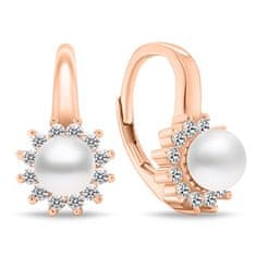 Brilio Silver Elegantni bronasti uhani s cirkoni EA788R