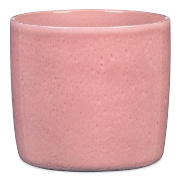 Embalaža 900 Rosea gloss 15 - 4 kosi