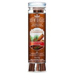 Vonné závěsné tyčinky Scentsicles, Two Dashes Cinnamon, Dvě kapky skořice, 6 ks