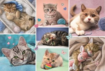 Trefl Sestavljanka V mačjem svetu/100 kosov