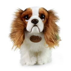 Rappa Plišasti pes King Charles Spaniel 25 cm